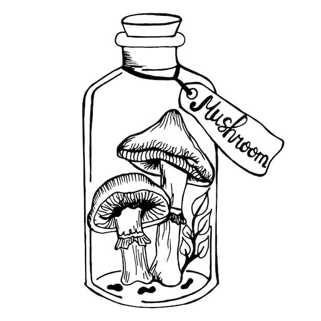 giftige Pilze in der Flasche mit Etikett Glas mit Zweig der Blätter Austernpilze Mystisches Gekritzel