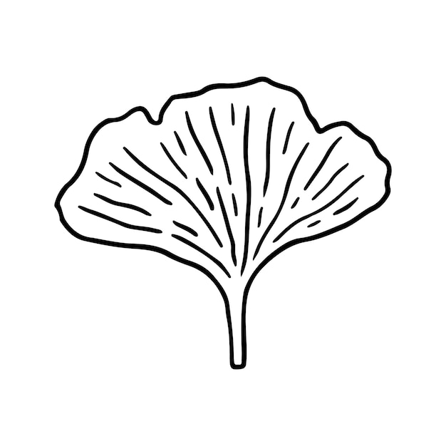 Vektor ginkgo biloba-blatt isoliert auf weißem hintergrund, handgezeichnete illustration im umrissstil