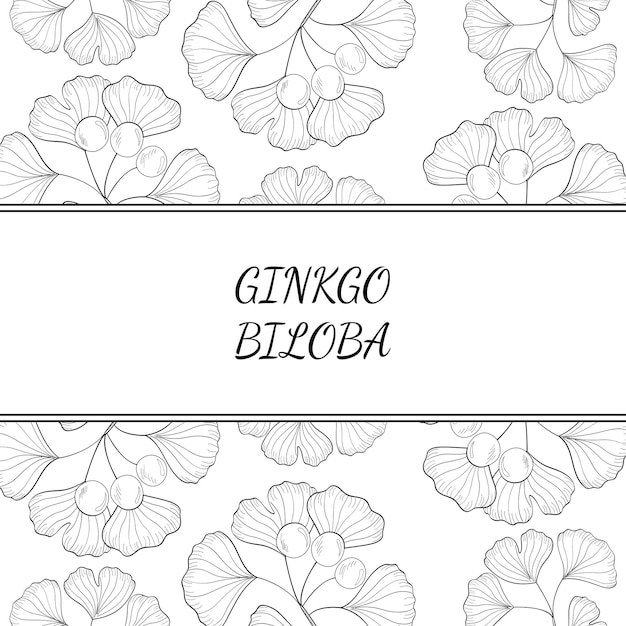 Ginkgo biloba-hintergrund 3