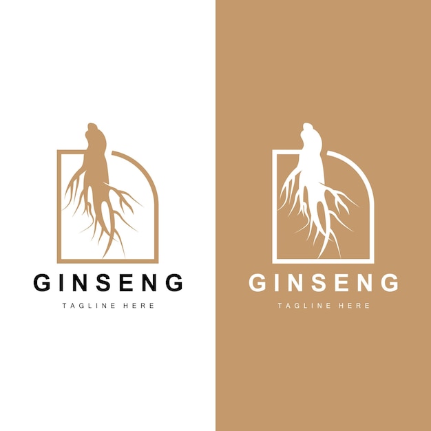 Vektor ginseng, logo, kräuterpflanze, vektor, natürliche, kräutermedizin, ginseng, kräutergetränk, icon