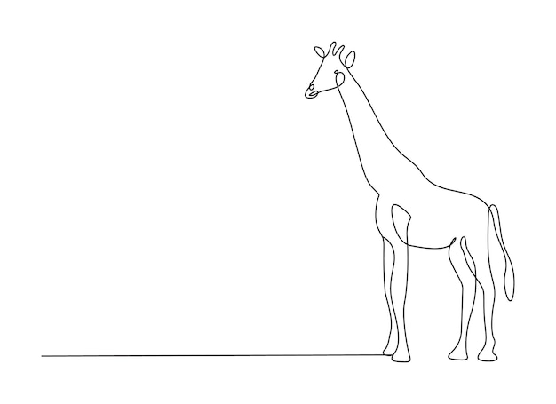 Vektor giraffe kontinuierliche ein-linien-zeichnung isoliert auf weißem hintergrund vektorillustration pro-vektor