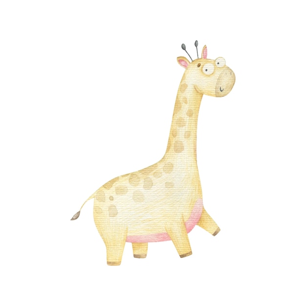 Vektor giraffe niedlich isoliert baby aquarell illustration design druck