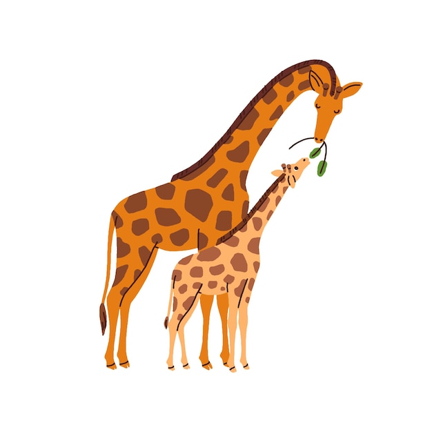 Giraffenfamilie muttertier füttert süßes lustiges kleines junge wildes dschungel mutter und kind essen zusammen liebenswerte mutter und süßes baby flache vektorillustration isoliert auf weißem hintergrund