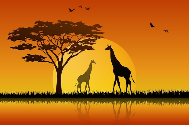 Giraffenschattenbild im Sonnenuntergang am Savanah