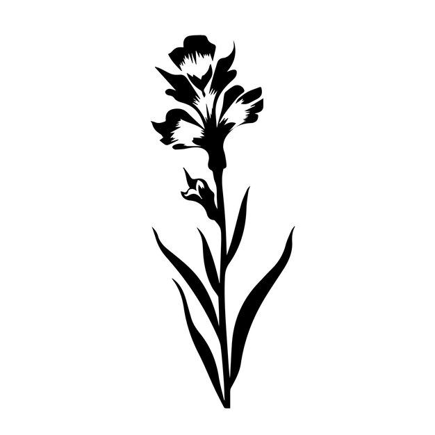 Gladiolenschwarzweißvektorvorlagensatz zum schneiden und drucken