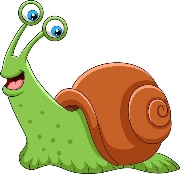 Vektor glückliche schnecke der karikatur lokalisiert auf weißem hintergrund