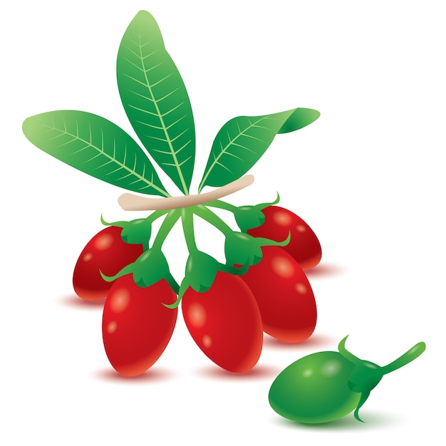 Goji-Beeren