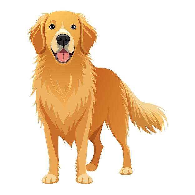Golden Retriever Hund VektorstilClipart Illustration mit weißem Hintergrund
