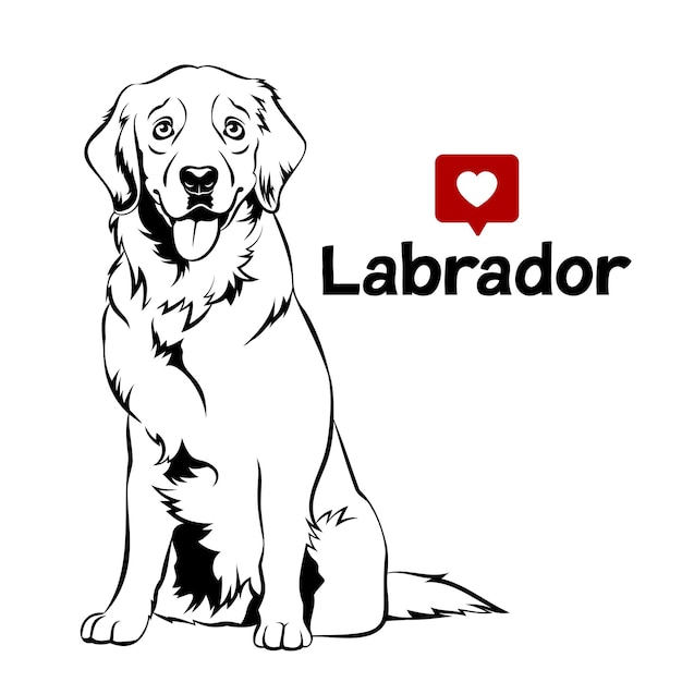 Golden retriever labrador hundeporträt vektorillustration