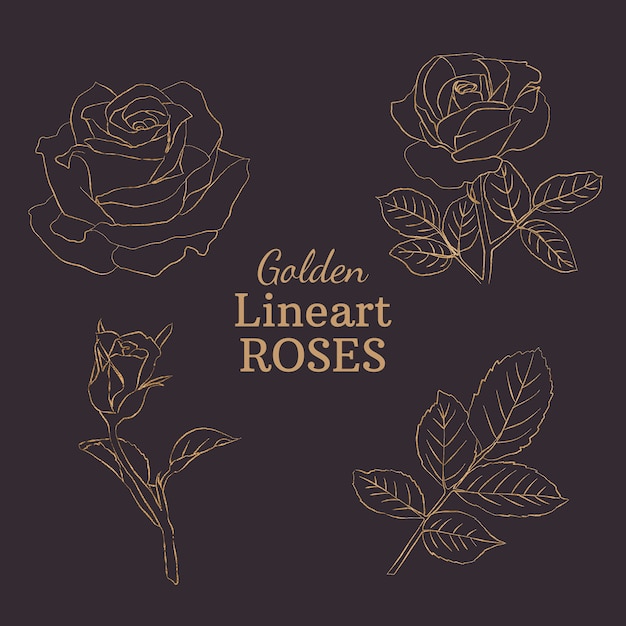 Goldene Lineart-Rosen