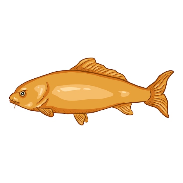 Goldener karpfen, fisch, karikatur, vektor, illustration