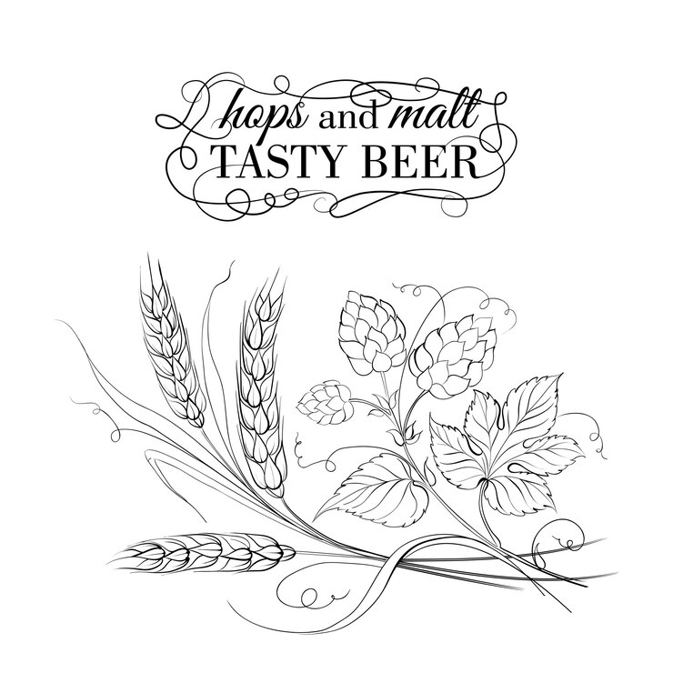 Goldener Weizen und Hopfen auf Weiß