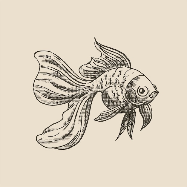 Goldfisch-Illustration im Stil eines mittelalterlichen Graverings