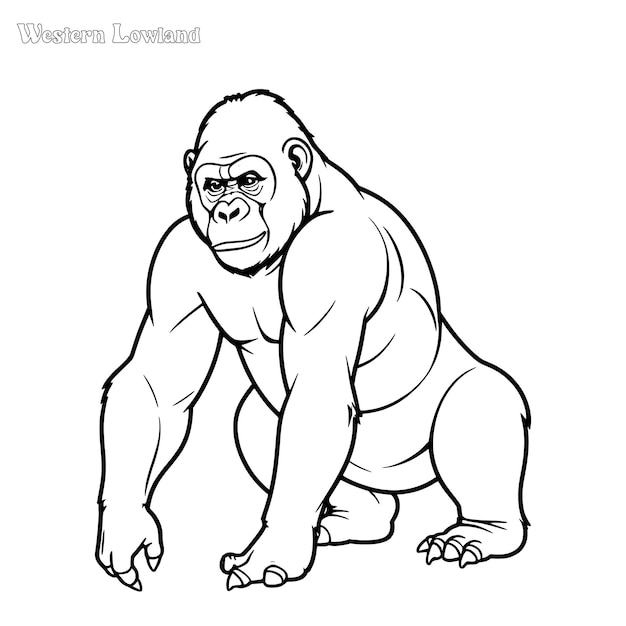 Vektor gorilla handgezeichnete malseite und umrisse vektordesign