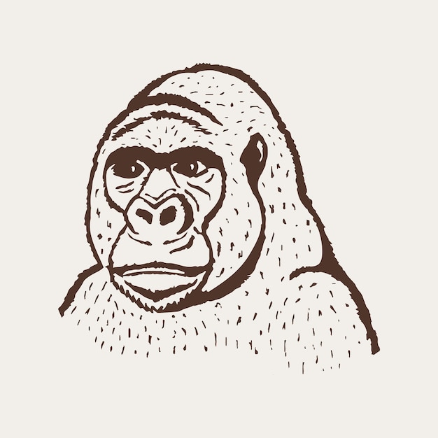 Vektor gorilla-handzeichnung in schwarz und weiß. vektor-illustration