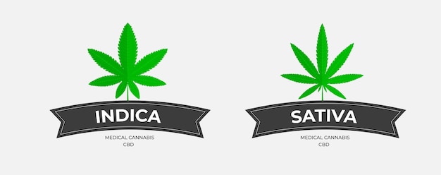 Grafiklogoschablone mit gras, organischem thc und sbd. vektorembleme mit cannabisblättern, mit dunklen bändern auf weißem hintergrund. design für medizinische indica- und sativa-marihuana-abzeichen.