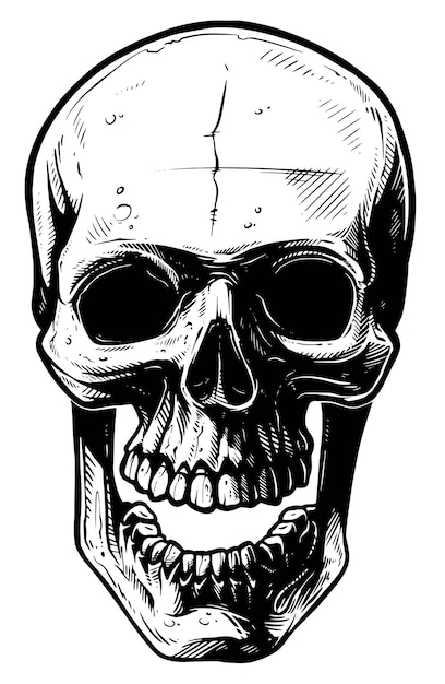 Vektor grafisch von hand gezeichneter realistischer schwarz-weißer wütender menschlicher schädel mit offenem kiefer vektor-tattoo-umriss