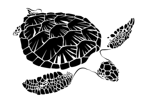 Grafische seeschildkrötenvektor-illustration des seeschildkrötenvektors des schildkröten-designs auf weißem hintergrund