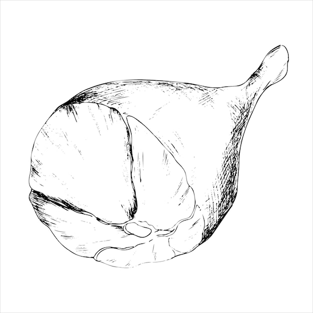 Grafische Zeichnung von Schinken Handgezeichnete Vektorskizze von Fleisch auf dem Knochen für das Design von Cafés und Restaurants