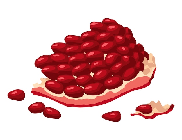 Granatapfel-Ikone Cartoon isolierte Sommer-Granatfrucht mit Rubinkernen in Scheiben geschnitten Werbung für tropische reife Früchte Vektorillustration gesunder Ernährung