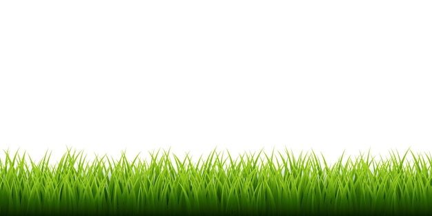 Gras Gras gesetzt