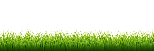 Gras Gras gesetzt