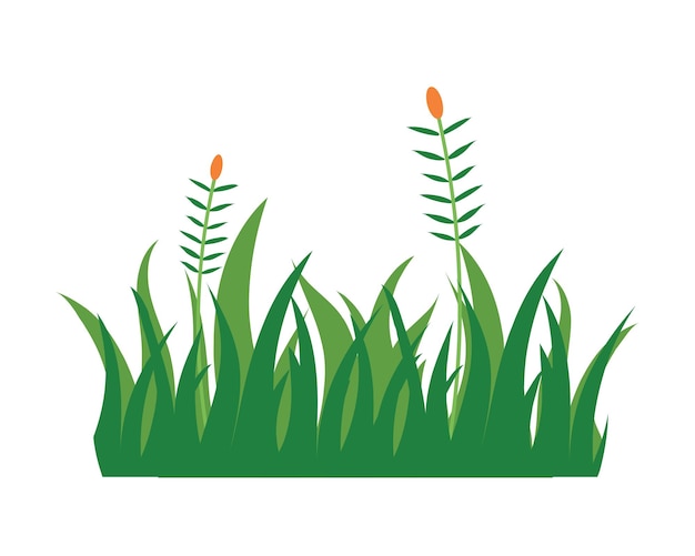 Vektor gras mit blumen-symbol auf weißem hintergrund farbenfrohe design-vektor-illustration