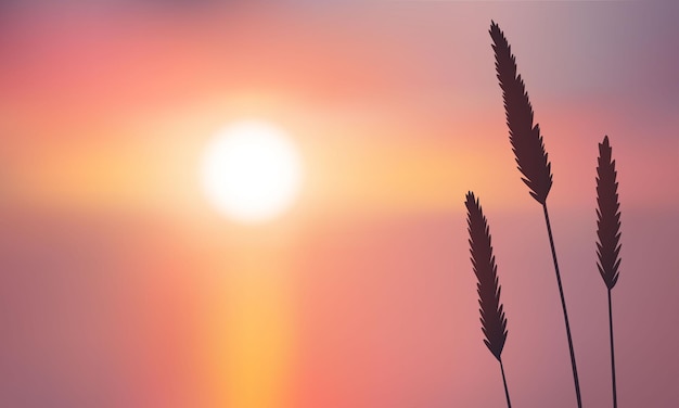 Gras oder Weizen auf dem Hintergrund von Sonnenuntergang oder Sonnenaufgang in Vektorillustration