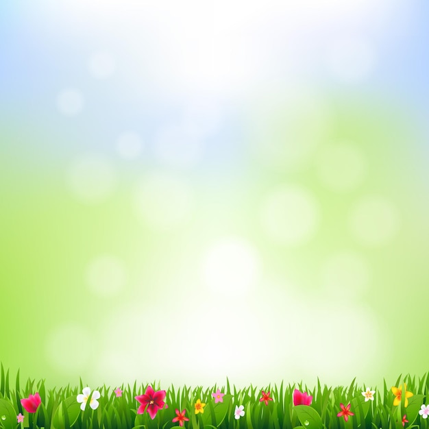 Gras und Blumen und Bokeh