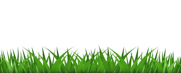 Grasgrenzen Pflanze Illustration