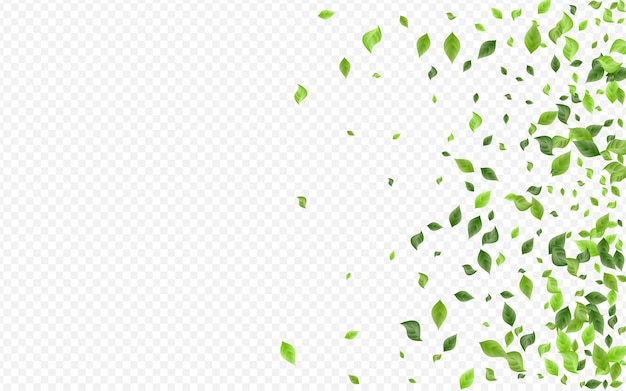 Grasige Blätter Kräuter. Unschärfe Laub Design.