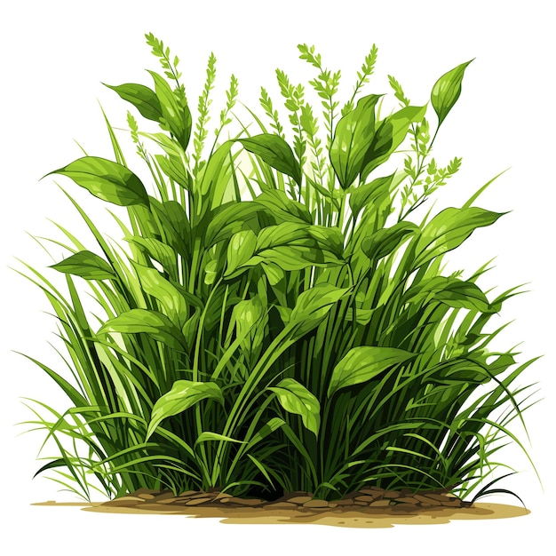 Grass border vektor-illustration