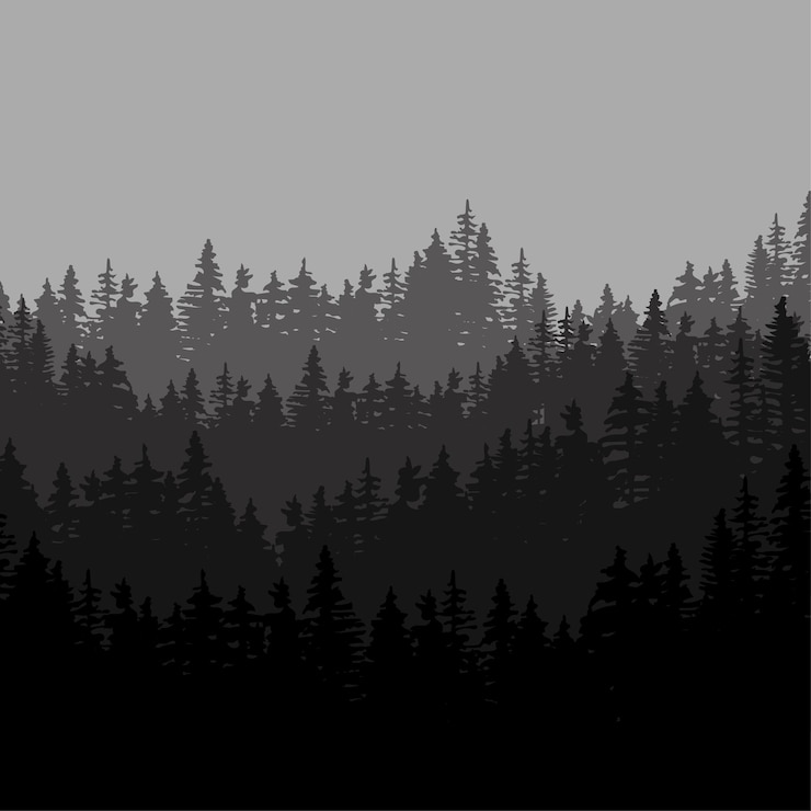Vektor grauer nachtwald. dunkler hintergrund. vektor-illustration. bild einer bildagentur. folge 10.