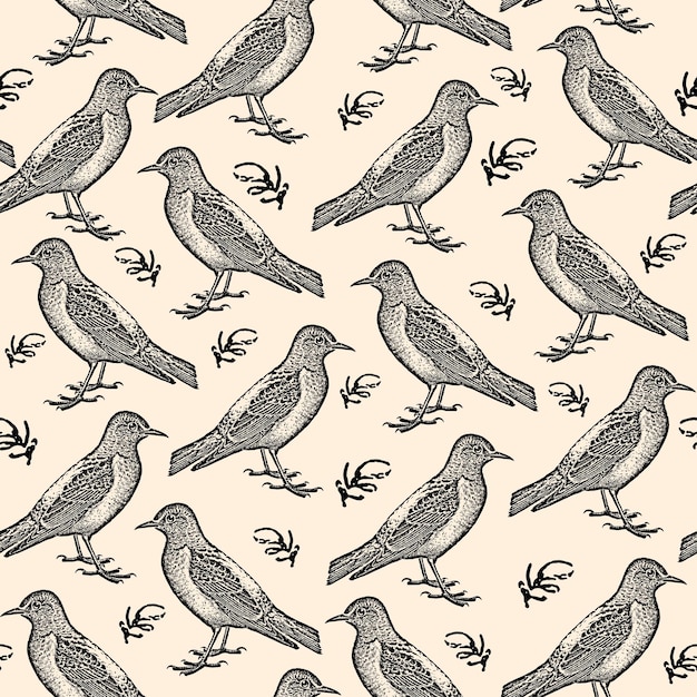 Gravieren von handgezeichneten vögeln skizzenmuster schwarze stare auf dem hintergrund vektor-fauna-illustration vorlage für luxuriöses textilpapier