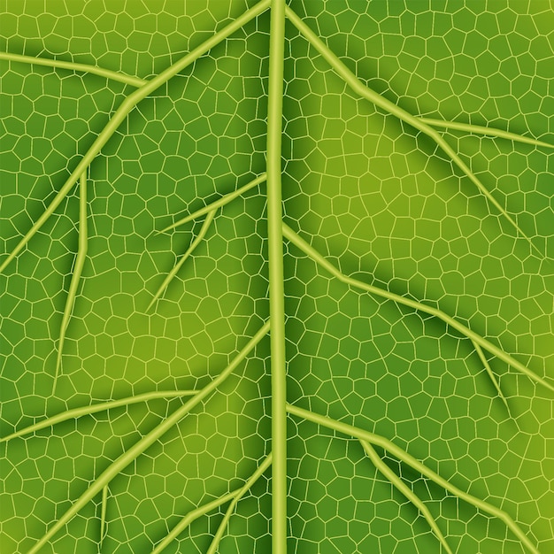 green leaf texture