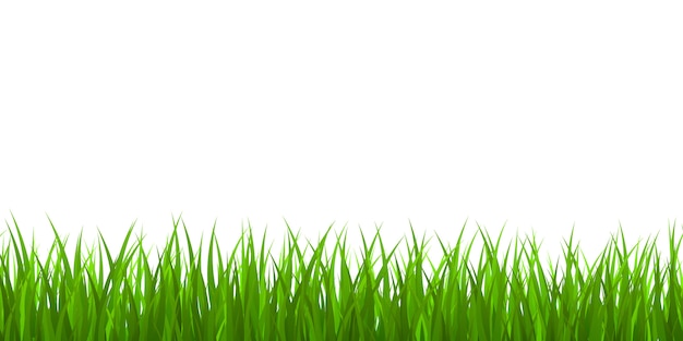Grenze mit frischem grünem Gras