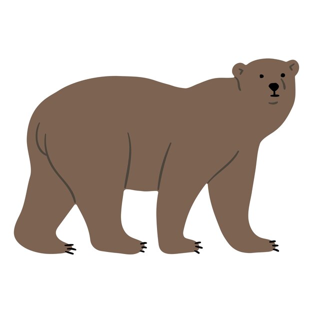 Grizzly bear einzel 2