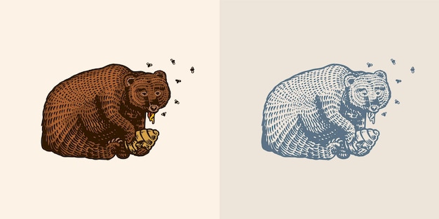 Grizzly-braunbär frisst honig in einem wilden tier in der pfote ein bienenstock mit bienen-seitenansicht von hand gezeichnet