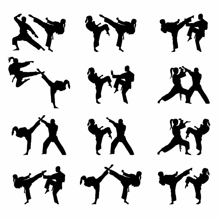 Große Reihe von Vektorillustrationen von Silhouette Karate im Kampf einzeln auf weißem Hintergrund