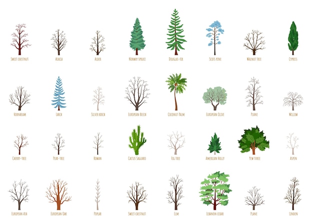 Große vektor-cartoon-set mit winterbäumen isoliert