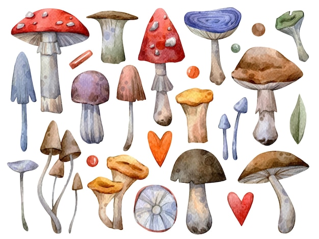 Großer Satz von Aquarellillustrationen, herbstliche Pilze, isoliert auf weißem Vektorgrund