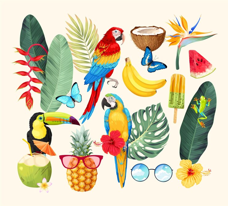 Vektor großer vektorsatz hochdetaillierter tropischer flora und fauna