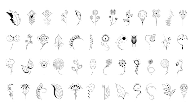 Großes Abstract-Set Doodle-Elemente Handgezeichnete Sammlung Botanische Kräuterflora Blattzweig Weinbaumblume