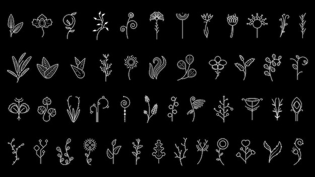 Großes Abstract-Set Doodle-Elemente Handgezeichnete Sammlung Botanische Kräuterflora Blattzweig Weinbaumblume