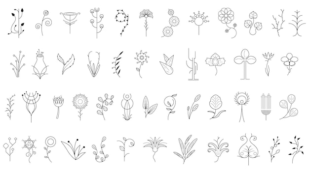 Großes Abstract-Set Doodle-Elemente Handgezeichnete Sammlung Botanische Kräuterflora Blattzweig Weinbaumblume
