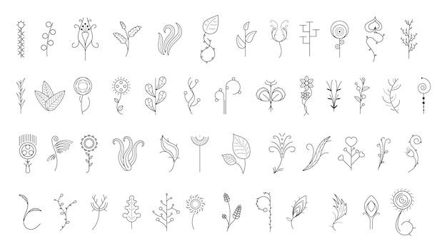 Großes Abstract-Set Doodle-Elemente Handgezeichnete Sammlung Botanische Kräuterflora Blattzweig Weinbaumblume
