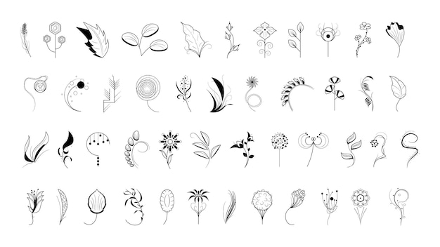 Großes Abstract-Set Doodle-Elemente Handgezeichnete Sammlung Botanische Kräuterflora Blattzweig Weinbaumblume