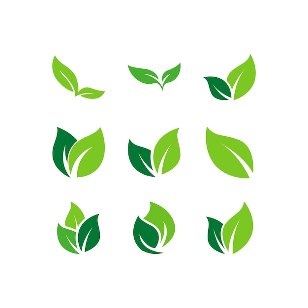 Grün hinterlässt logo. pflanzen natur öko garten stilisierte ikone vektor botanische sammlung