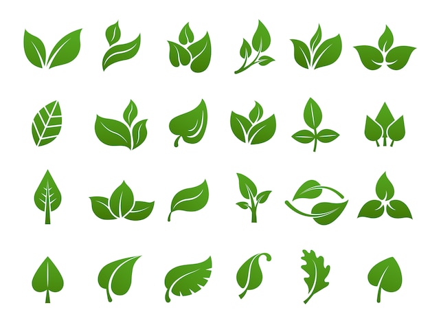 Vektor grün hinterlässt logo. pflanzen natur öko garten stilisierte ikone vektor botanische sammlung