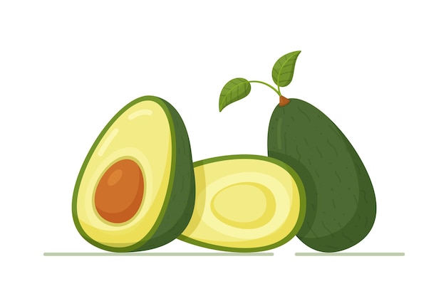 Vektor grüne avocado mit knochen und blättern vektor-illustration von avocado ganz und halbiert